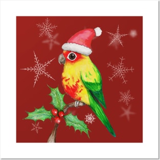 Christmas sun conure Posters and Art